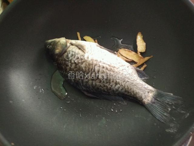 下鲫鱼，两面稍微煎一下使鱼略黄
