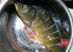 豆豉蒸鱼的做法图解1