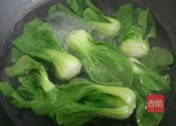 香菇菜心的做法图解4