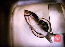 丝瓜鲫鱼汤的做法图解1