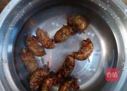 油炸金蝉的做法图解1