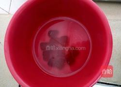 香滑果冻布丁的做法图解3