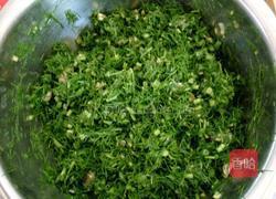 茴香馅包子的做法图解6