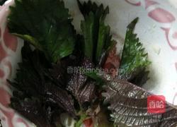 焖鱼酱料篇的做法图解2