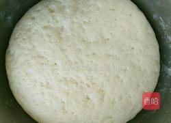 胡萝卜大包子的做法图解6