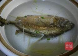 西瓜皮泥猛鱼汤的做法图解8