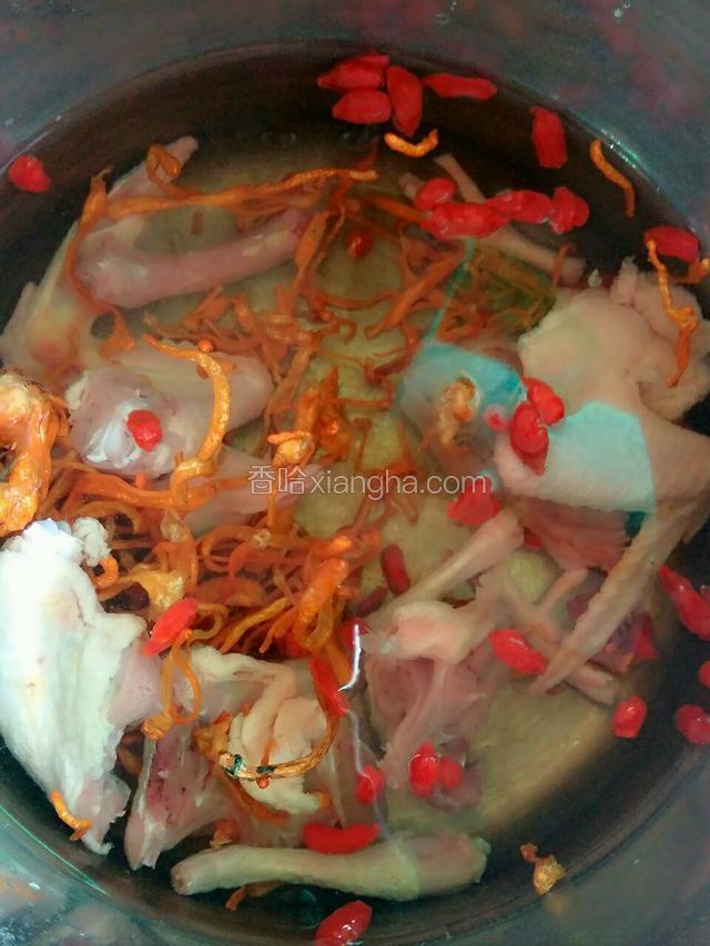 将乳鸽倒入高压锅内，放入虫草花和枸杞，在加入清水，大火烧开听到嘁嘁嘁的声音转中小火煲25～30分钟，关火