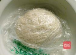 香菇鸡肉饺子的做法图解7