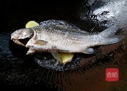 清炖鲫鱼汤的做法图解3