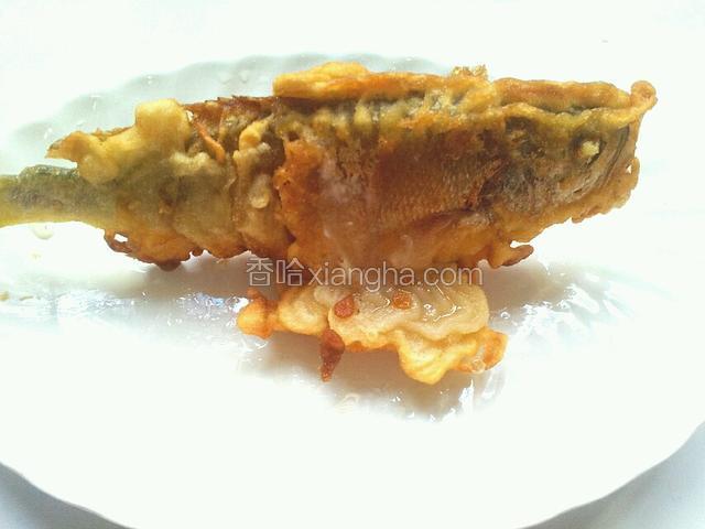 这样鱼就能站起来啦