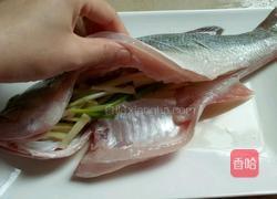 豉汁蒸鱼的做法图解4