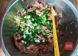 猪肉酸菜饺子的做法图解4