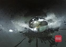 豆腐红烧肉的做法图解6