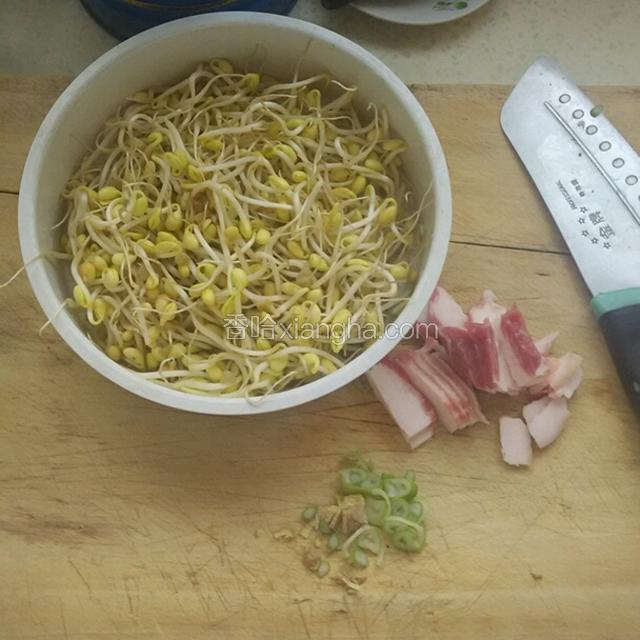 豆芽洗净控干水分，粉条泡软，五花肉切片，葱姜切沫。