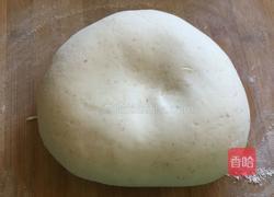 黄瓜鸡蛋水饺的做法图解6