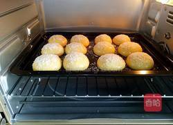 杏仁椰蓉小餐包的做法图解13