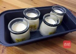 简易布丁的做法图解9