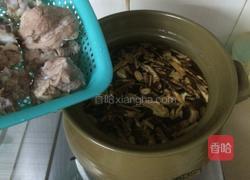 五指毛桃猪骨汤的做法图解6