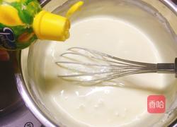 冻酸奶芝士蛋糕的做法图解13