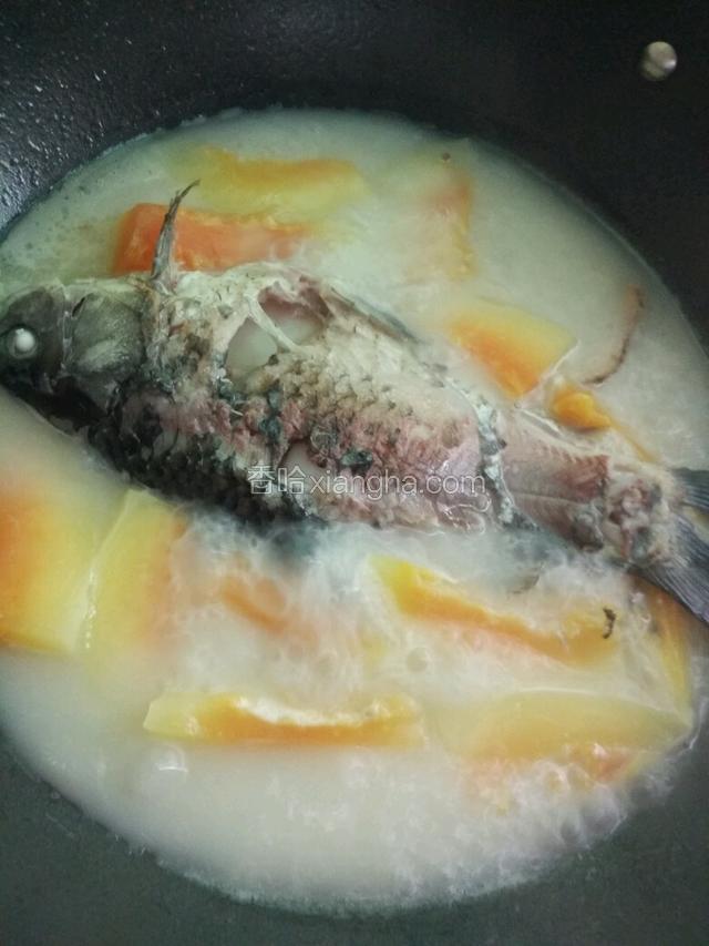 大火烧开，转小火慢炖30-40分钟使汤变得奶白色，加入盐即可出锅