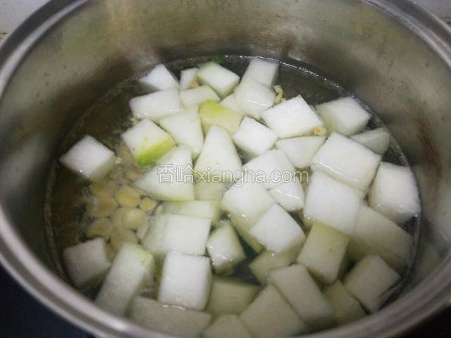然后放入冬瓜,,姜,开大火，锅滚起来后转小火，将冬瓜煮至半透明。