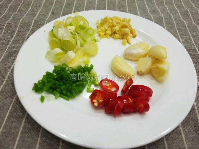 葱白和香葱切成段，大蒜拍扁，姜切成末。红椒切成圈。