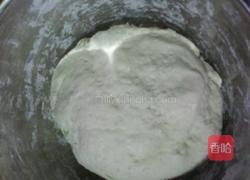 卷心菜包子的做法图解1