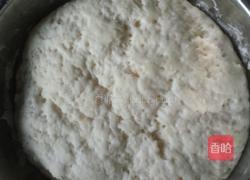 卷心菜包子的做法图解3