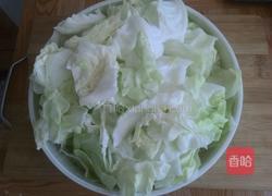 西红柿炒包菜的做法图解1