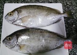 黄豆酱焖泥猛鱼的做法图解1