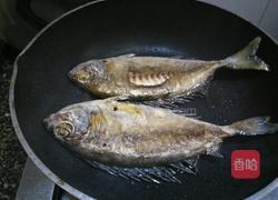 黄豆酱焖泥猛鱼的做法图解4