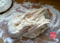 猪肉豆角馅包子的做法图解6