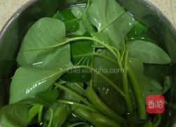 葱花鸡蛋面的做法图解1