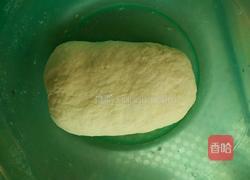 豆角馅水饺的做法图解3