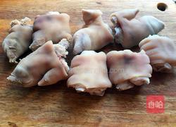 啤酒猪蹄的做法图解5