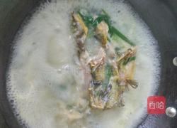 黄骨鱼豆腐汤的做法图解5