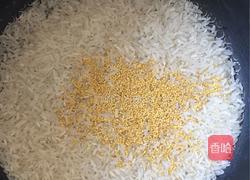 小米饭的做法图解1