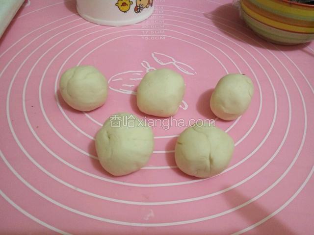 分成五个小剂子，揉圆