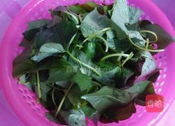 炒红薯叶的做法图解1