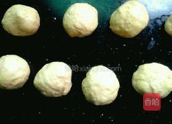 萌小猪挤挤包的做法图解4