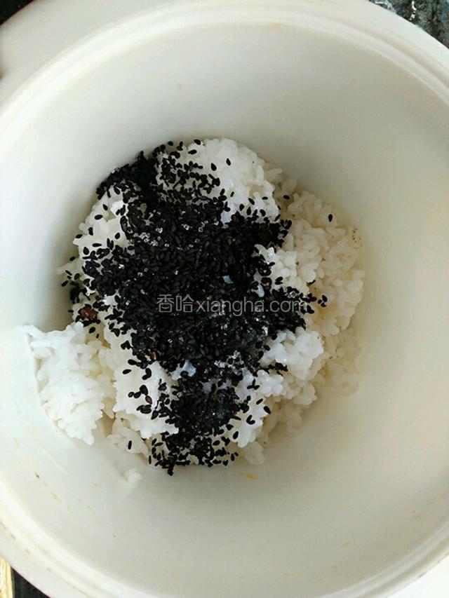 把米饭倒进大点的容器里加入芝麻糖（芝麻加白糖），寿司醋