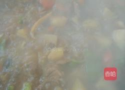 鸡块炖土豆的做法图解10
