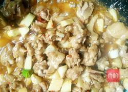 姜葱炒鸡的做法图解11