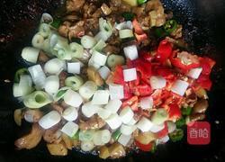 姜葱炒鸡的做法图解13