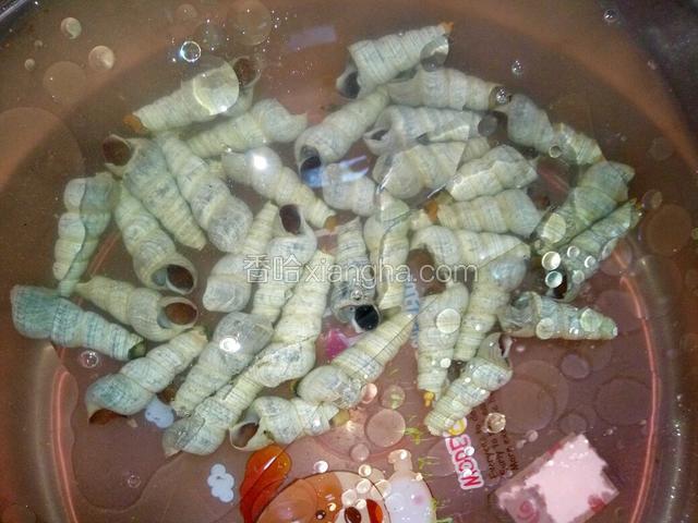 新鲜的钉螺，加一点食用油，排出钉螺的排泄物，使钉螺口感更美味，