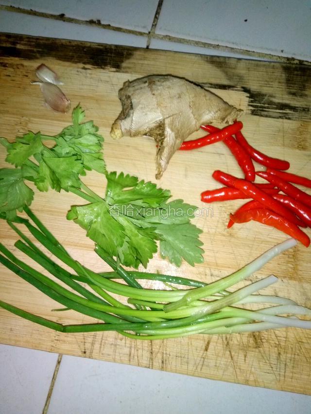 准备生姜，辣椒，香菜，香葱