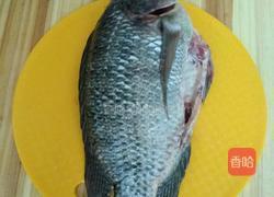 炖煮罗非鱼的做法图解2