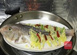 清蒸马头鱼的做法图解5