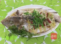 清蒸马头鱼的做法图解7