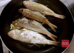 红烧红杉鱼的做法图解5